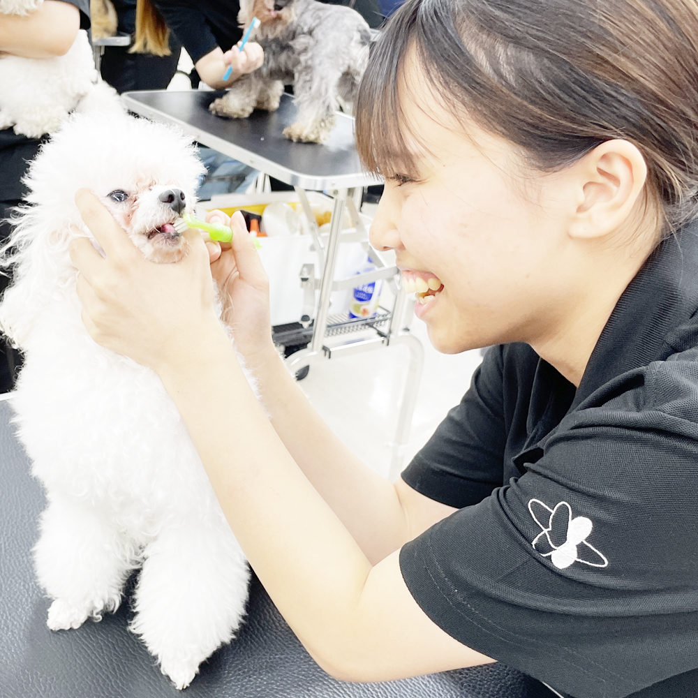 夜間部の１・２年生♪